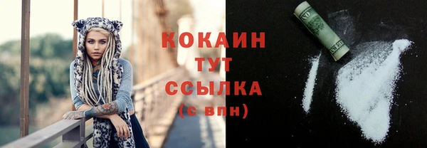 стаф Абинск