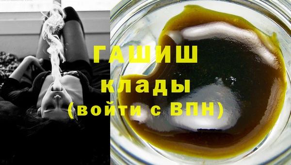 стаф Абинск